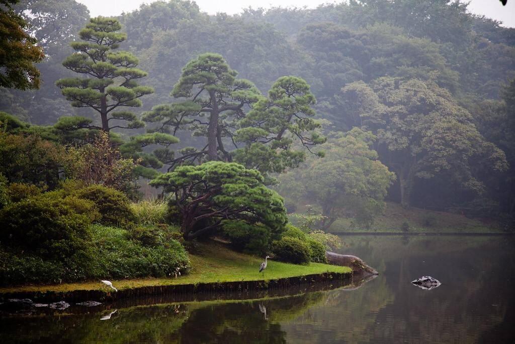 Tora Hotel Tokyo-Rikugienn 寅ホテル 六義園 A Exterior foto